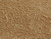 Артикул 7072-23, Палитра, Палитра в текстуре, фото 2