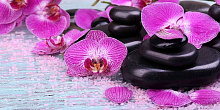 Фотообои орхидея Divino Decor Фотопанно 2-х полосные L-068