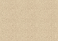 Rasch Golden Hour 941562